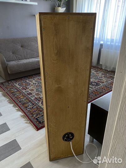 Акустика beag