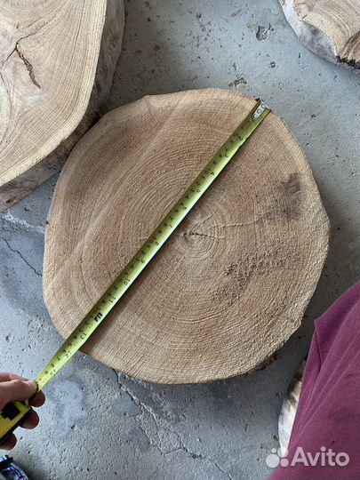 Спилы карагача