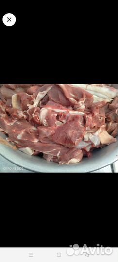 Мясо говядина котлетное