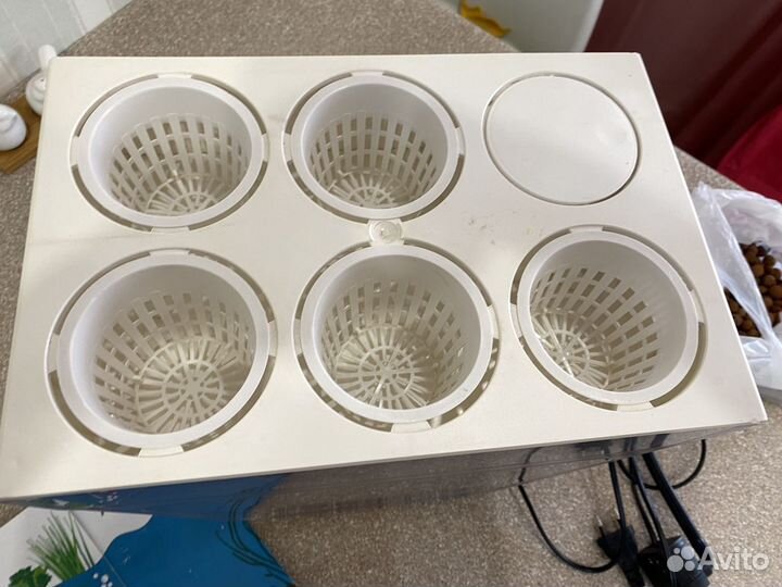 Аквариум, акваферма:внизу рыбки, сверху св.зелень