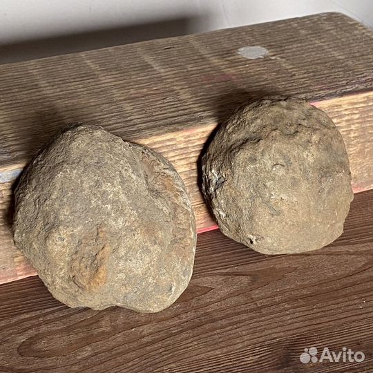 Аммонит с перламутром в конкреции