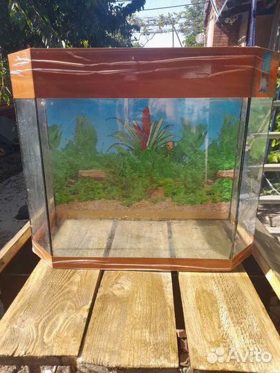 Аквариум