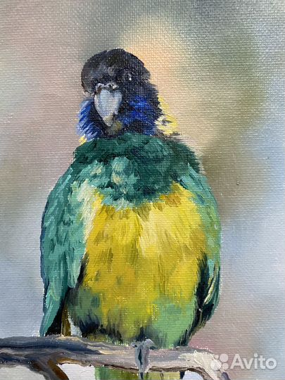Картина маслом «Попугай»