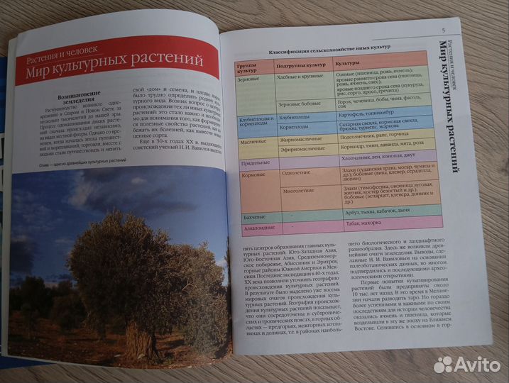 Книга про растения