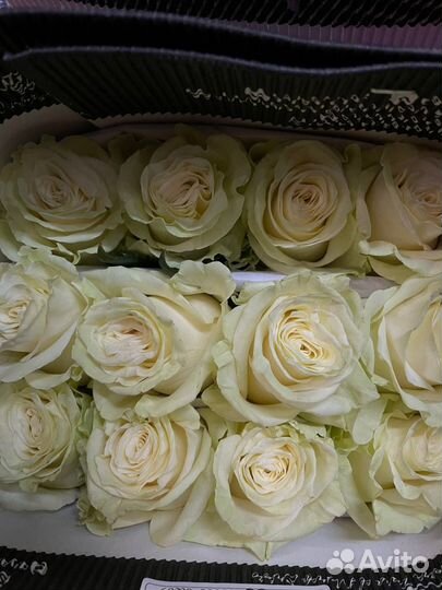 Цветы к Дню учителя 5 октября