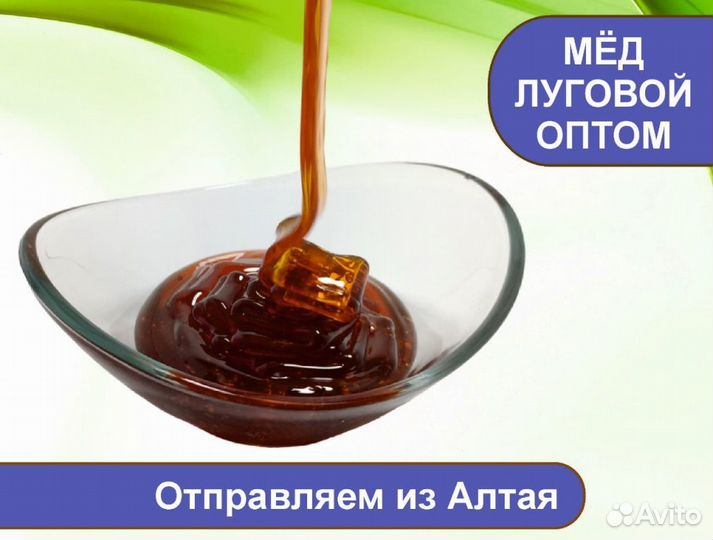 Алтайский мёд 2023 года (опт)