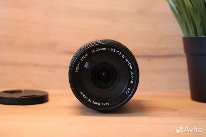 Sigma 18-250mm DC Macro OS HSM Nikon