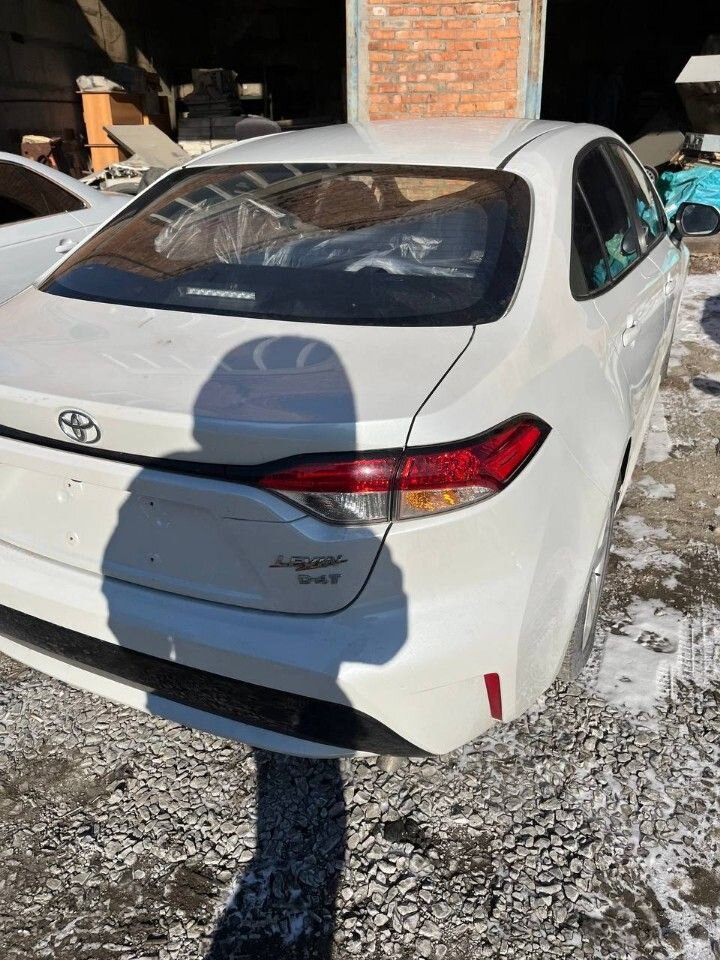 Toyota Levin: фото владельца