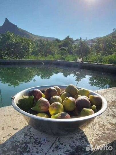 Варенье из крымского инжира