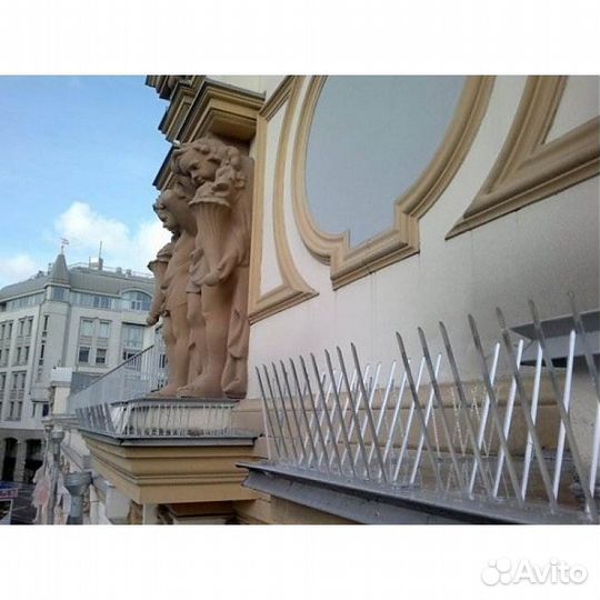 Противоприсадные шипы 