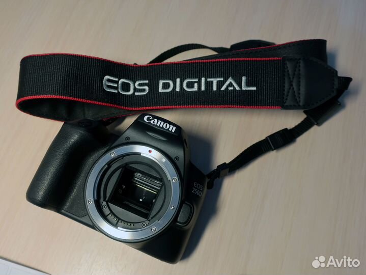 Зеркальная камера Canon EOS 250D+18-55 IS STM