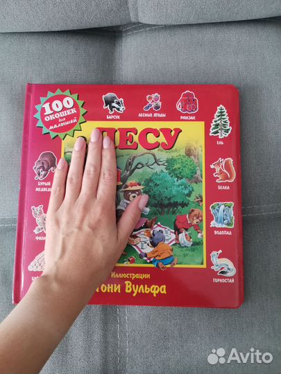 Книга с окошками В лесу, Тони Вульф