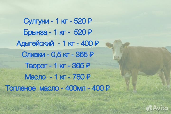 Молочная продукция