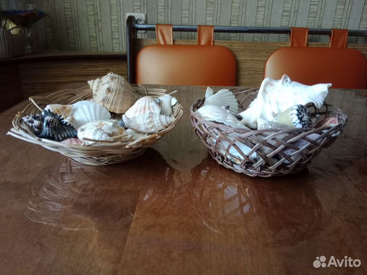Наборы разных ракушек в корзине