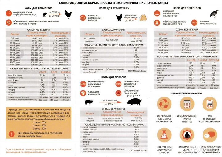 Полнорационный комбикорм для Несушек (Смоленский)