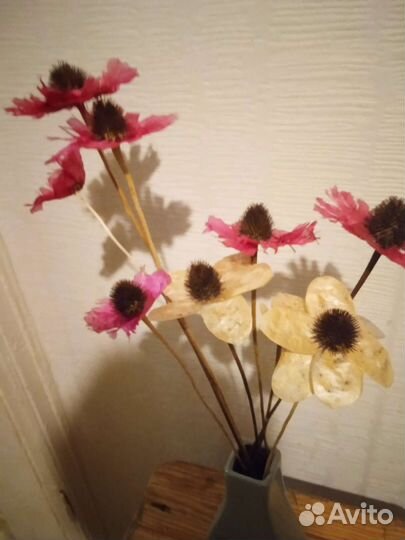 Сухоцветы и материалы для интерьерных композиций и