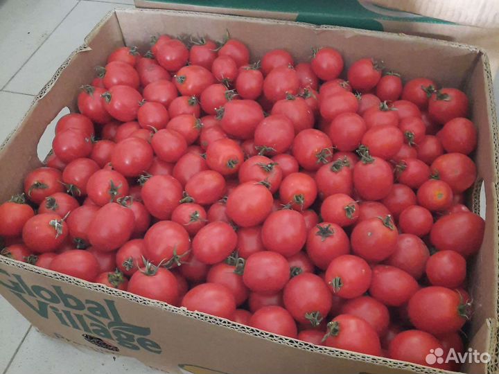 Помидоры