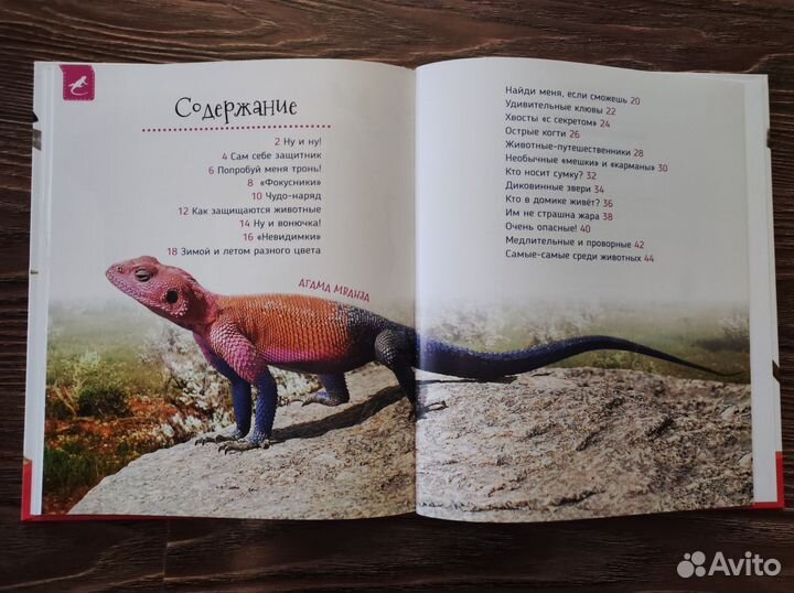 Детская развивающая книга новая