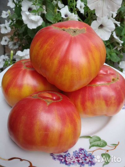 Сердце Линея,Мутная Мамба и другие