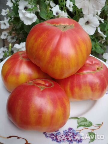 Сердце Линея,Мутная Мамба и другие