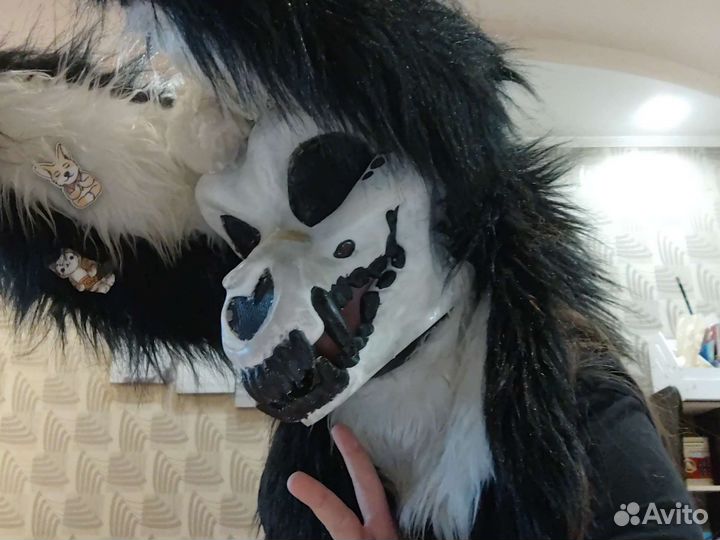 Скулл дог обмен