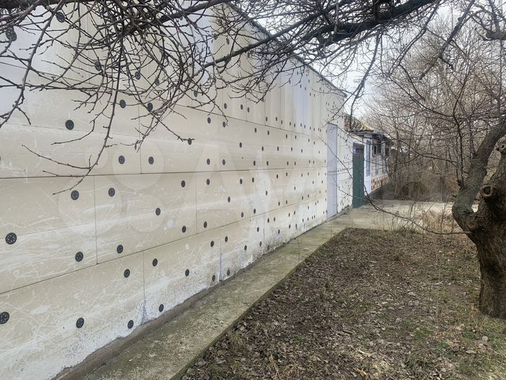 Экоферма по производству куриных яиц