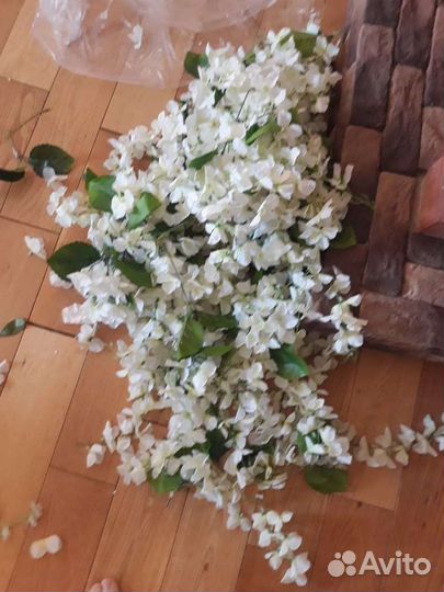 Глициния искусственная