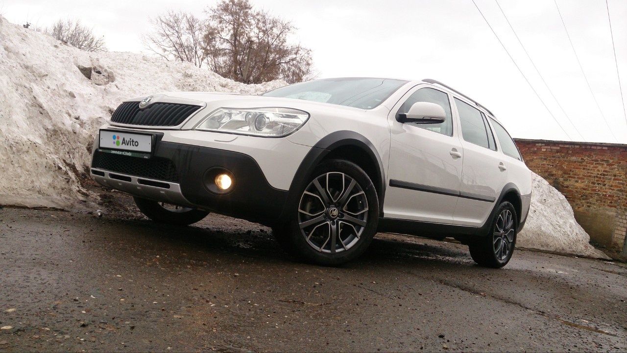 Skoda Octavia: фото владельца