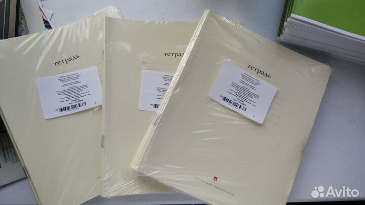 Тетради школьные, 12 листов, частая косая линейка