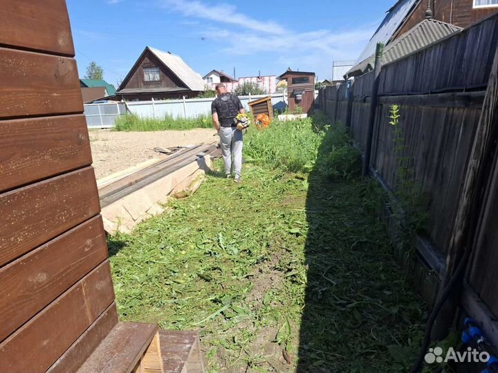 Скосить траву на участке спил деревьев