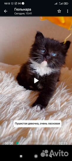 Маленькая девочка