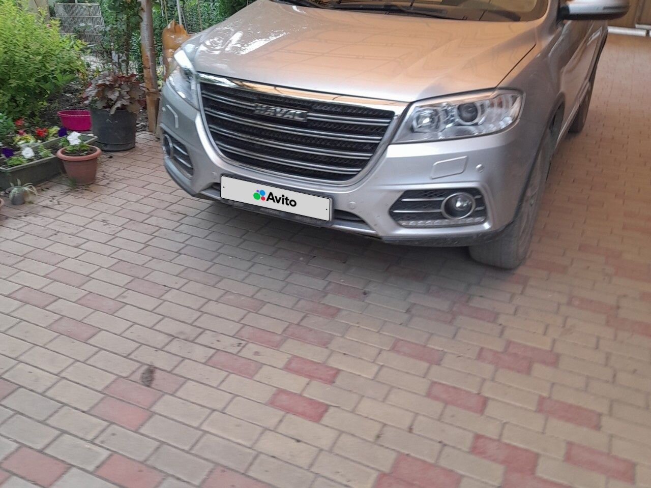 HAVAL H6: фото владельца