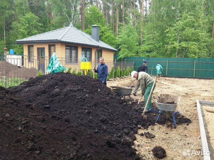 Плодородная земля чернозем