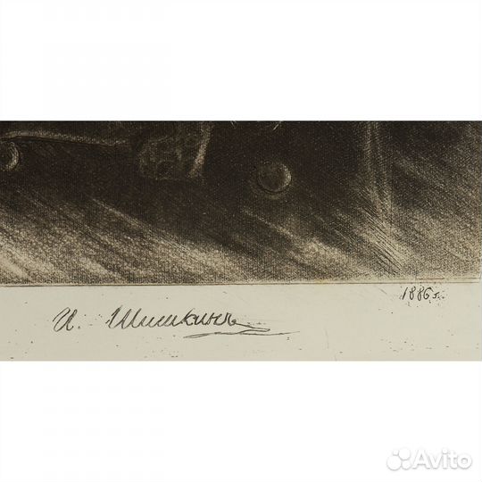 Офорт И.И. шишкина 