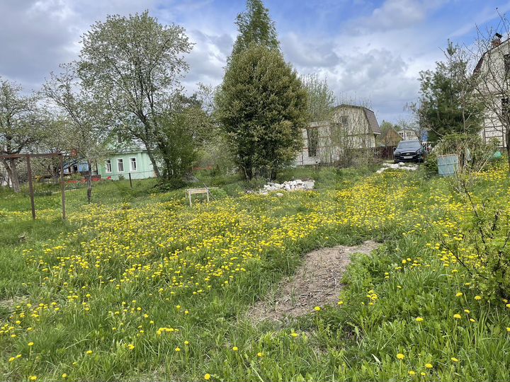 Участок 8 сот. (СНТ, ДНП)