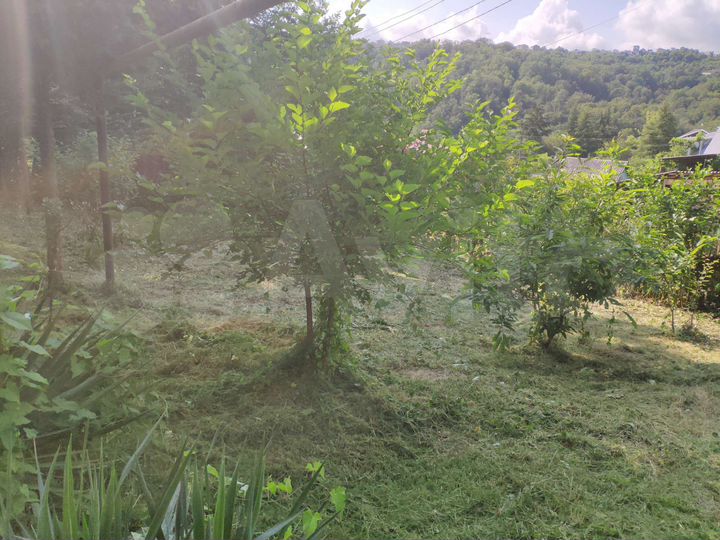 Участок 5,4 сот. (СНТ, ДНП)