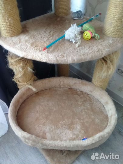 Когтеточка и лежанка