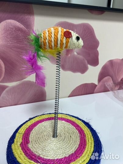 Когтеточка