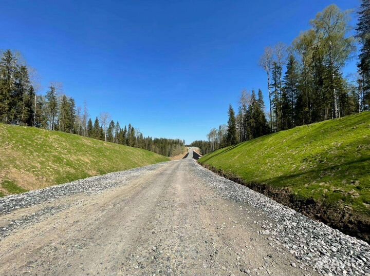 Гидропосев Рекультивация Озеленение Газон Сад