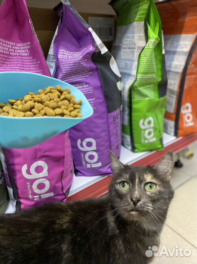 Сухой корм для кошек и собак