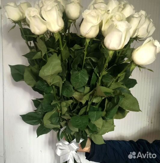 Розы, букет цветов