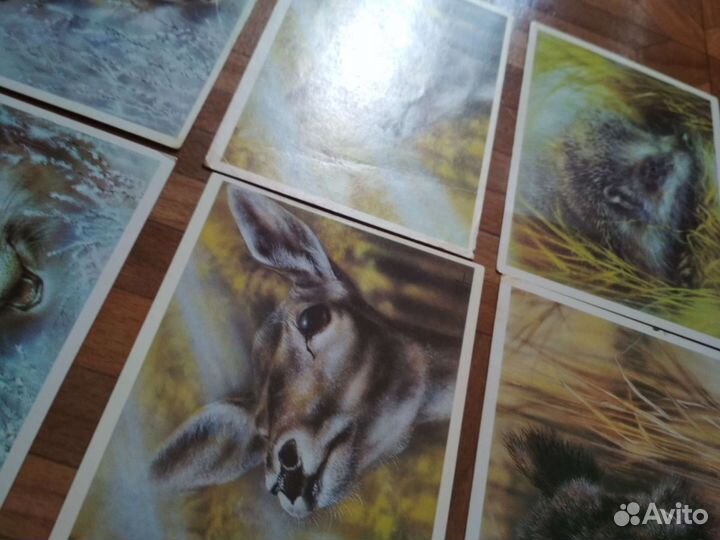 Открытки Исакова подписанные и чистые