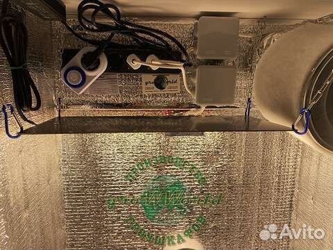 Готовый гроубокс с ключом. Рассада