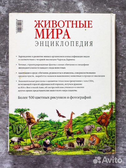 Животные мира: Энциклопедия. Джексон Том