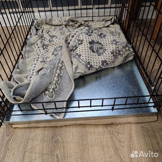 Клетка вольер для собак