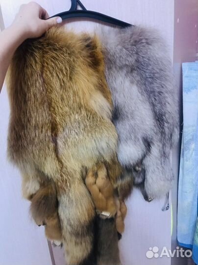 Шкурка,мех лиса писец