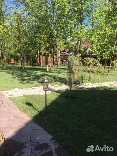 Рулонный газон стандарт