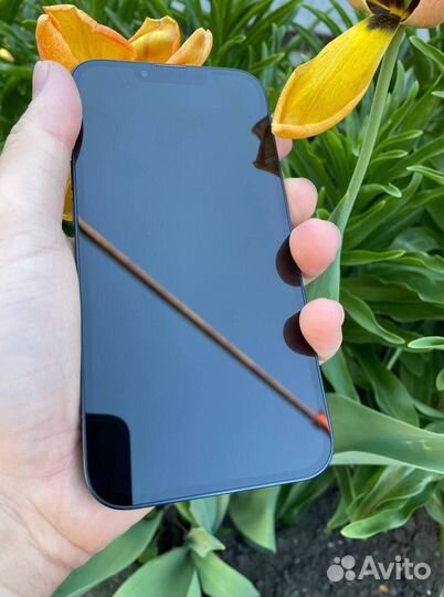 iPhone 13, 256 ГБ