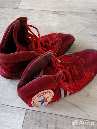 Самбовка крепыш