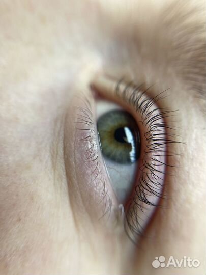 Курсы Ламинирование ресниц и Укладка бровей